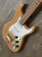 Project Gator by PHRED instruments (Large)