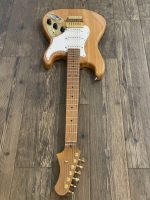 Project Gator by PHRED instruments (Large)