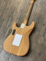 Project Gator by PHRED instruments (Large)