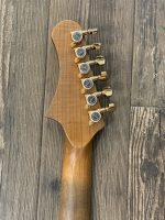 Project Gator by PHRED instruments (Large)